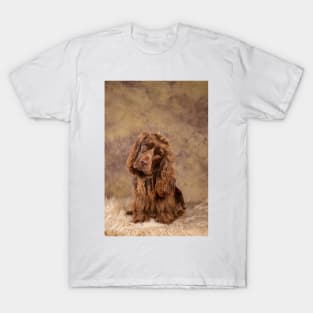 Sussex Spaniel T-Shirt